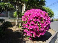 IMG_7478.JPG