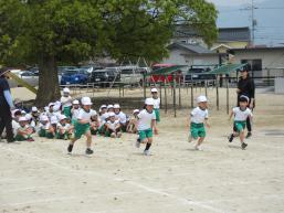 IMG_9010.JPG
