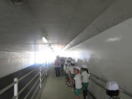 IMG_9596.JPG