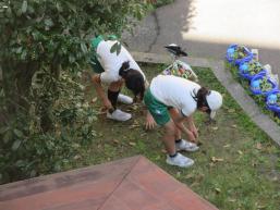 IMG_0014.JPG