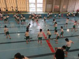 IMG_9929.JPG